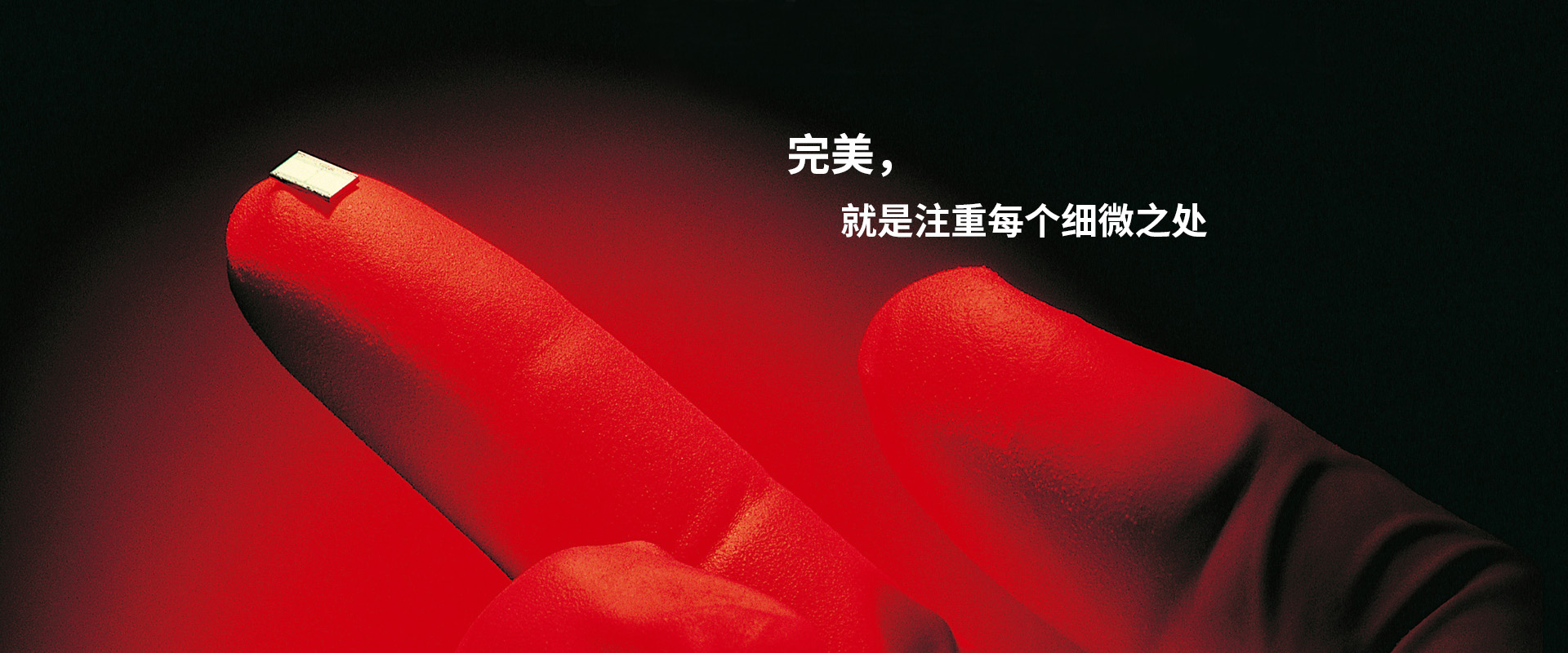 寧波開關電器制造有限公司